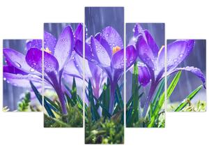 Obraz kvetov v daždi (150x105 cm)