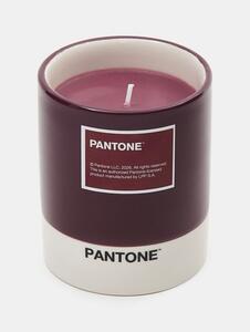 Sinsay - Sviečka Pantone - lilavá