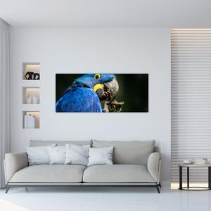 Obraz papagája (120x50 cm)