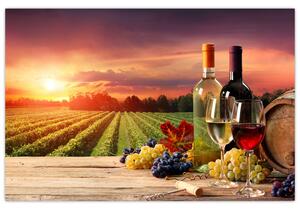 Obraz vinice s vínom (90x60 cm)