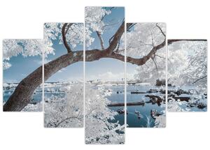 Obraz zasneženého stromu pri vode (150x105 cm)