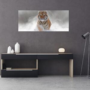 Obraz bežiaceho tigra v snehu (120x50 cm)