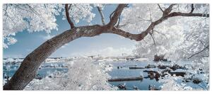 Obraz zasneženého stromu pri vode (120x50 cm)