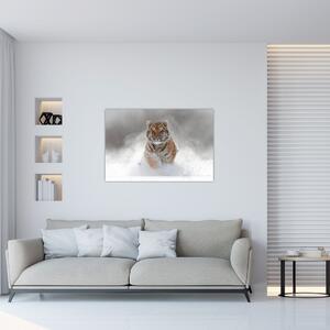 Obraz bežiaceho tigra v snehu (90x60 cm)