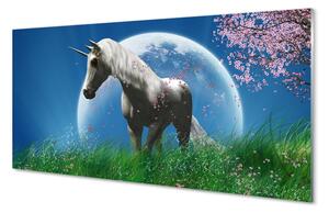Sklenený obraz Pole jednorožec moon 100x50 cm 2 Prívesky