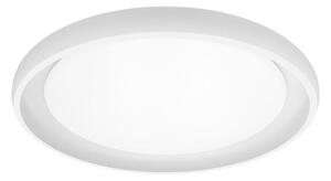 Top Light - LED Stm. stropné svietidlo SALERNO LED/60W/230V 3000-6500K biela + DO