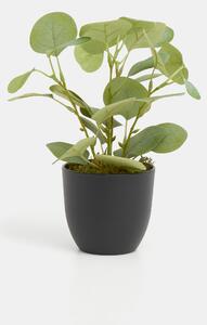 Sinsay - Ozdobná umelá rastlina - zelená
