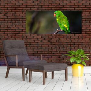 Obraz papagája na vetve (120x50 cm)