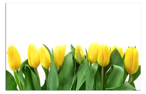 Obraz na plátne - Žlté tulipány 103A (60x40 cm)