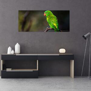 Obraz papagája na vetve (120x50 cm)
