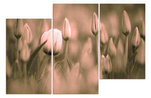 Obraz na plátne - Tulipán kvitnúci 101FD (90x60 cm)