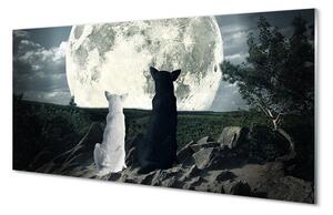 Sklenený obraz Wolves mesiac lesné 100x50 cm 2 Prívesky