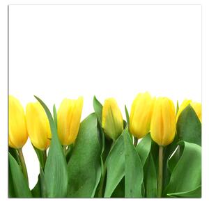 Obraz na plátne - Žlté tulipány - štvorec 303A (50x50 cm)