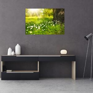 Obraz paseky a kvetín (90x60 cm)