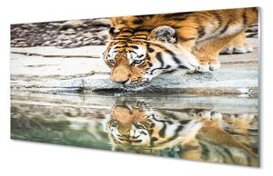 Sklenený obraz tiger pitie 100x50 cm 2 Prívesky