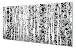 Sklenený obraz Čierna a biela breza 140x70 cm 2 Prívesky