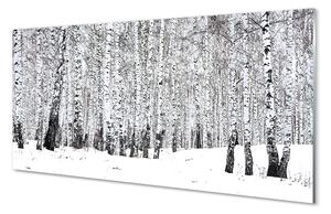 Sklenený obraz zimný brezy 140x70 cm 2 Prívesky