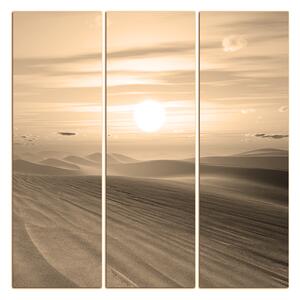 Obraz na plátne - Púštny západ slnka - štvorec. 3917FB (75x75 cm)