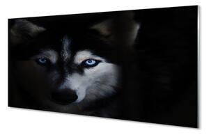 Sklenený obraz wolf Eyes 100x50 cm 2 Prívesky