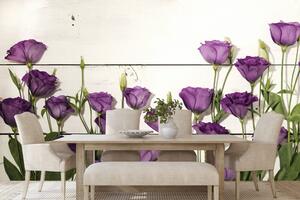 Fototapeta nádherné fialové kvety