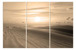 Obraz na plátne - Púštny západ slnka 1917FB (150x100 cm)