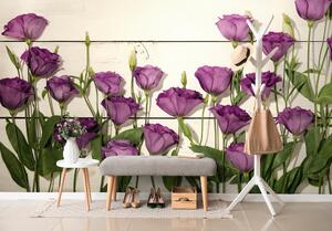 Fototapeta nádherné fialové kvety