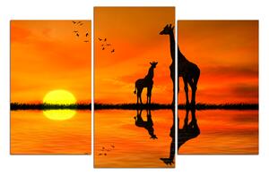 Obraz na plátne - Žirafy silueta 1919C (90x60 cm)