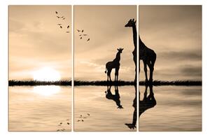 Obraz na plátne - Žirafy silueta 1919FB (150x100 cm)