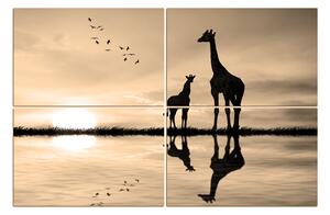 Obraz na plátne - Žirafy silueta 1919FD (150x100 cm)