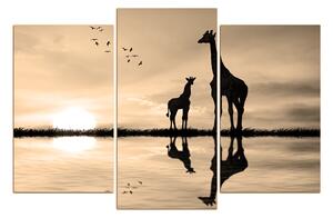Obraz na plátne - Žirafy silueta 1919FC (150x100 cm)
