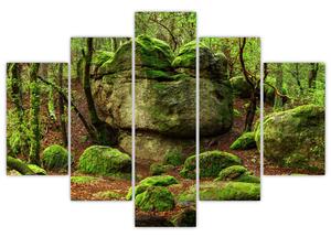 Obraz čarovného lesa (150x105 cm)