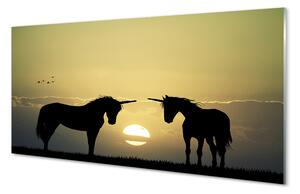 Nástenný panel  Poľné sunset jednorožce 100x50 cm