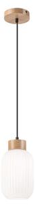 Luster na lanku HARMONY 1xE27/15W/230V pr. 14 cm biela/dub