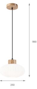 Luster na lanku HARMONY 1xE27/15W/230V pr. 25 cm biela/dub