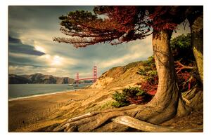Obraz na plátne - Golden Gate Bridge 1922FA (100x70 cm)