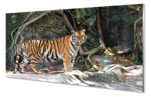 Sklenený obraz tiger džungle 100x50 cm 2 Prívesky