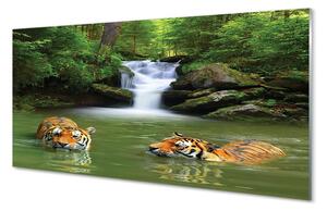 Sklenený obraz vodopád tigre 100x50 cm 2 Prívesky