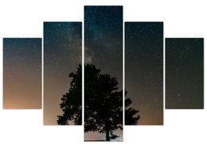 Obraz nočnej oblohy so stromami (150x105 cm)