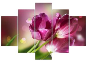Obraz ružových tulipánov (150x105 cm)