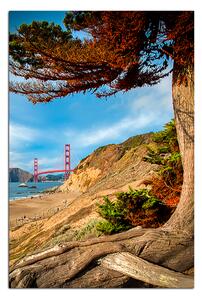 Obraz na plátne - Golden Gate Bridge - obdĺžnik 7922A (90x60 cm )