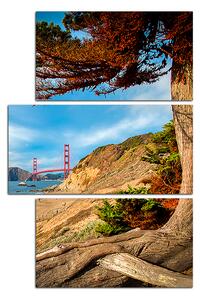 Obraz na plátne - Golden Gate Bridge - obdĺžnik 7922C (90x60 cm)