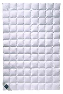 LETNÁ PRIKRÝVKA, 135/200 cm, páperie Billerbeck - Prikrývky & vankúše