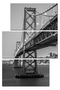 Obraz na plátne - San Francisco - obdĺžnik 7923ČC (90x60 cm)