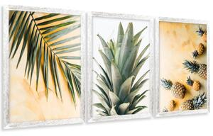 Sada plagátov Tropický raj - 3 dielna Farba rámu: Rustikálna, Rozmery: 99 x 45 cm