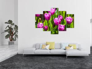 Obraz tulipánov na lúke (150x105 cm)