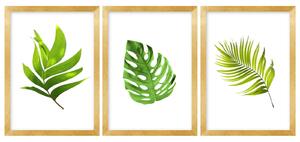 Gario Sada plagátov Zelené listy - 3 dielna Farba rámu: Zlatá, Veľkosť: 99 x 45 cm
