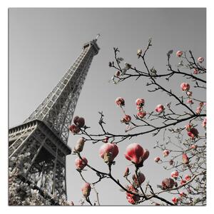 Obraz na plátne - Eiffelova veža v jarnom období - štvorec 334ČA (50x50 cm)