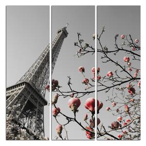 Obraz na plátne - Eiffelova veža v jarnom období - štvorec 334ČB (75x75 cm)