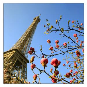 Obraz na plátne - Eiffelova veža v jarnom období - štvorec 334A (50x50 cm)