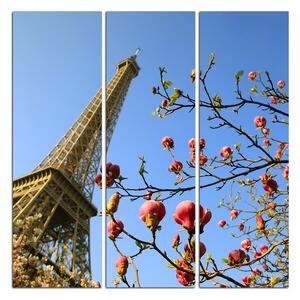 Obraz na plátne - Eiffelova veža v jarnom období - štvorec 334B (75x75 cm)